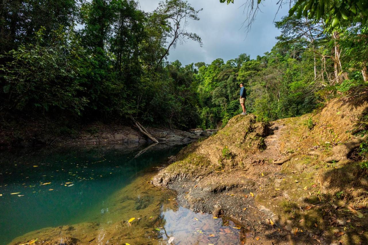 Drake Bay River View Buitenkant foto